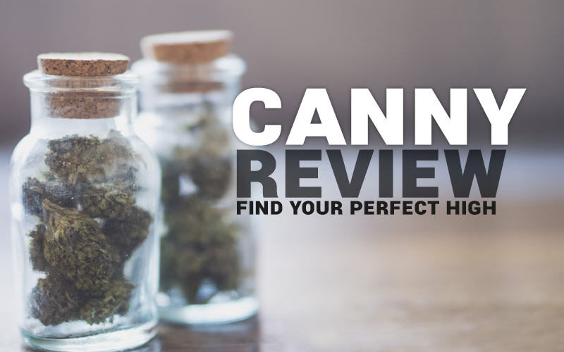 Read our Canny review about their cannabis concierge app.