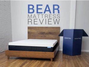 Read our Bear Mattress Review and learn about this responsive bed.