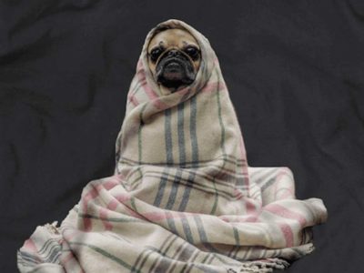 Get 10% Off with our Beloved Pup Coupon Codes