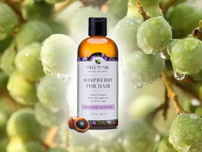 Tree To Tub Review Soapberry shampoo
