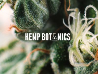 Read our Hemp Botanics Review and buy CBD safely in the UK