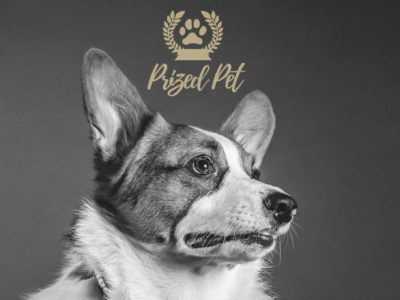 Read our Prized Pet Review