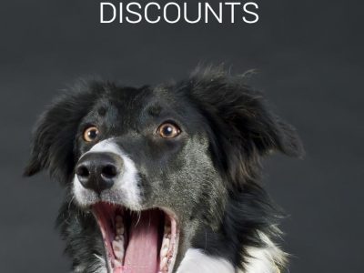 Gus And Owen Discount Codes will save you 15%!