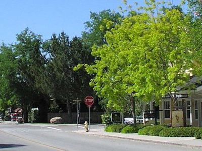 Los Olivos: Tips for Visiting