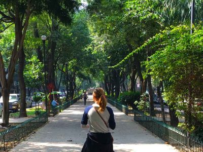 La Condesa is a Hidden Gem in Mexico City