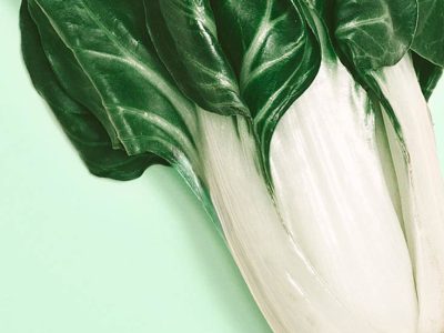 SunFood Coupon Codes: Use WB1CZD7R for 10% Off the SunFood!