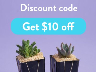 Succulent Studios Coupon Code | How to get $5 off