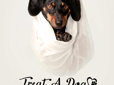 10% Treat A Dog Discount Code: TOPDOWN