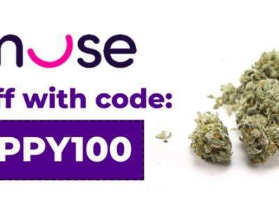 Amuse Delivery Promo Code | 20% off: HAPPY100
