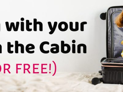Flying with Your Dog in the Cabin (for free)