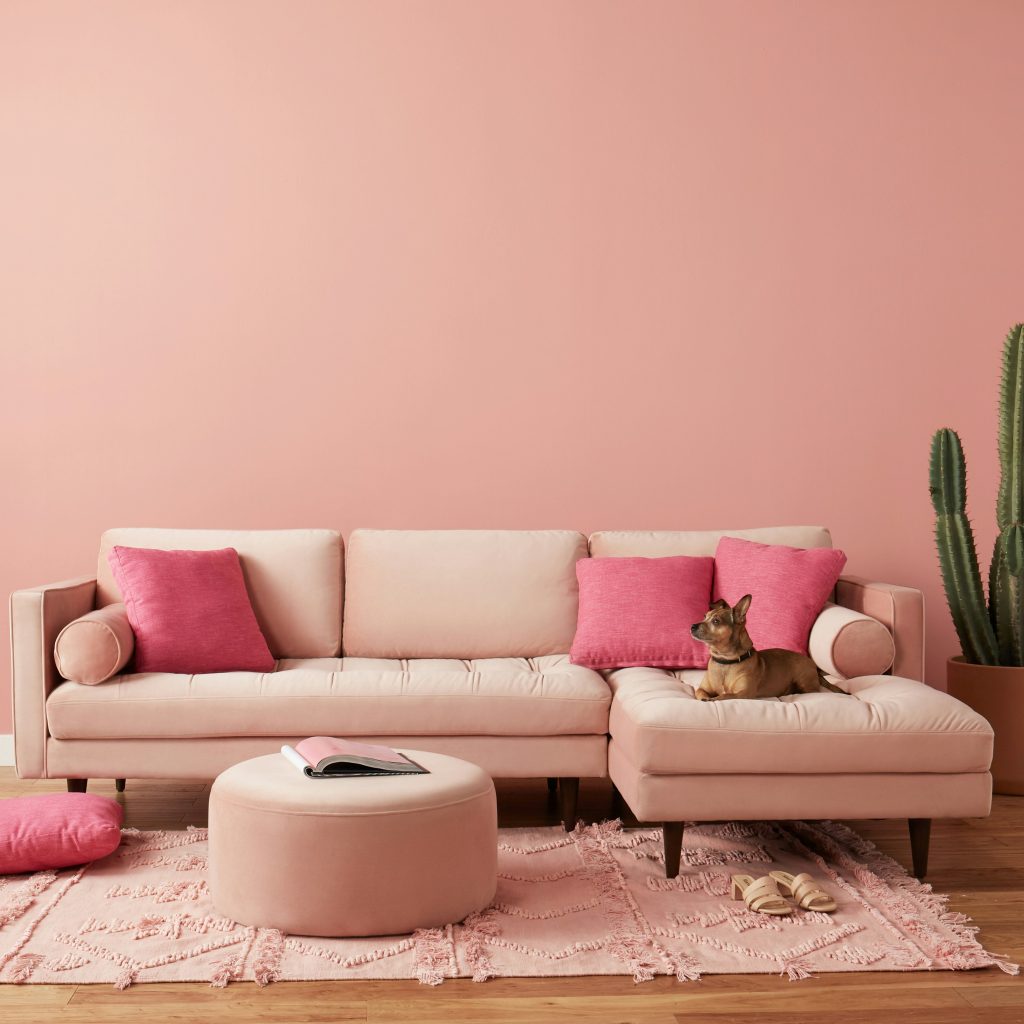 Joybird Briar leather sofa in Santiago Ale