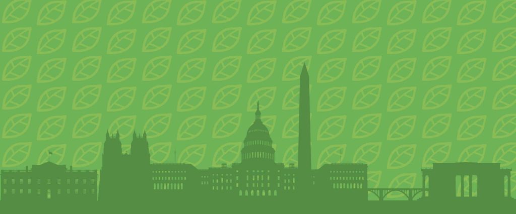 Local'd Washington D.C. skyline brand graphic