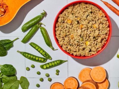 A bowl of Ollie fresh dog food surrounded by whole carrots, peas, spinach, sweet potato, butternut squash and apple